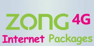 Zong daily 4G internet package detail