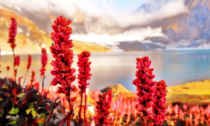 Ratti Gali Lake