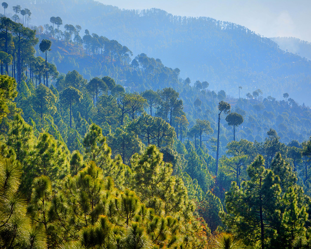 6. Upper Topa and Lower Topa Murree