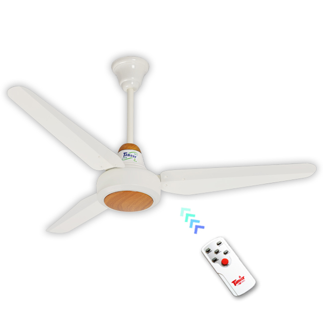 Pak Union Ceiling Fan