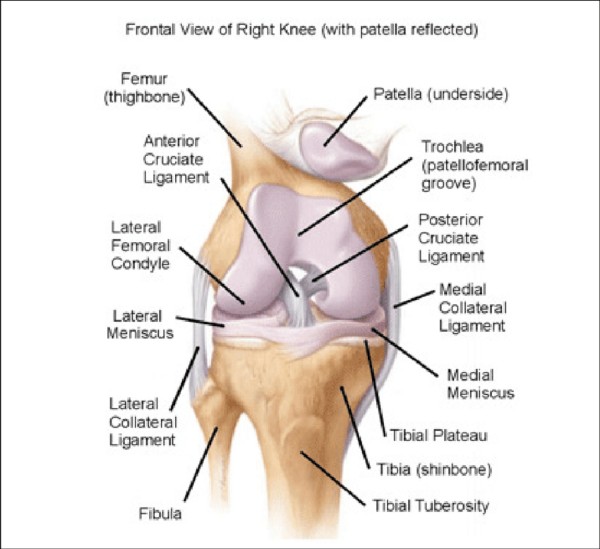 Pain after knee Replacement Surgery