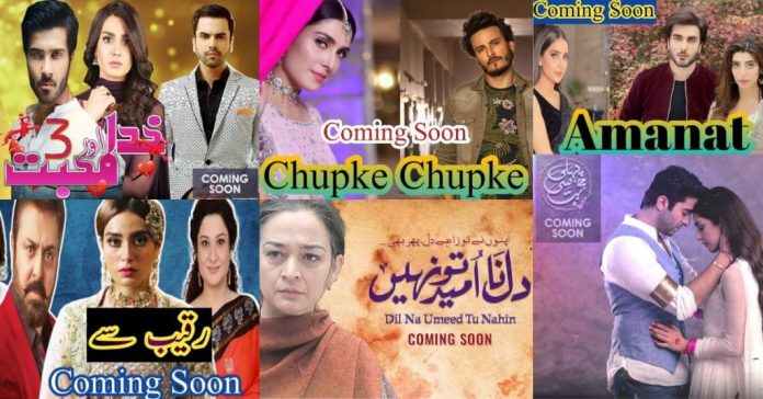 Most Searched Dramas By Pakistani in 2021 And Why