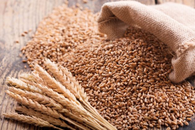 today-wheat-price-in-pakistan-2023-story-pk