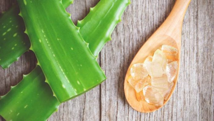 Aloe Vera for Pimples