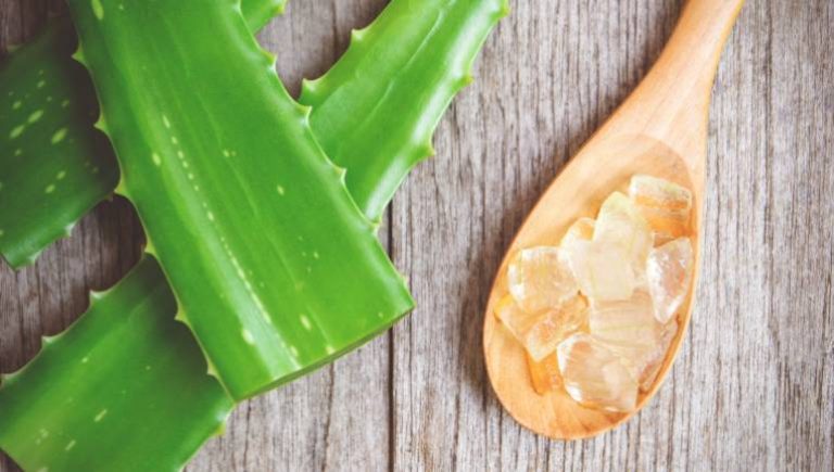 Aloe Vera for Pimples and Dark Spots in Pakistan Aloe Vera for Pimples and Dark Spots in Pakistan