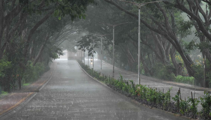 Image Gallery in Monsoon Season in Lahore