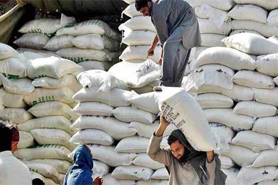 20 kg flour Price in Pakistan Today