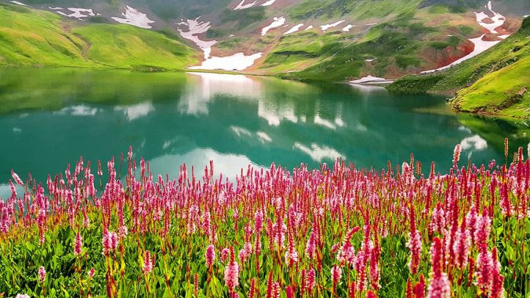 Climate change and its impact on Dudipatsar Lake and surrounding ecosystems Climate change and its impact on Dudipatsar Lake and surrounding ecosystems