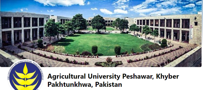 University of Agriculture Peshawar