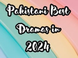 Pakistani Best Dramas in 2024