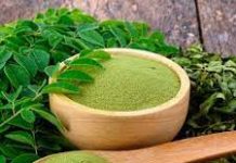 Moringa Pakistan’s Green Treasure Moringa Pakistan's green treasure